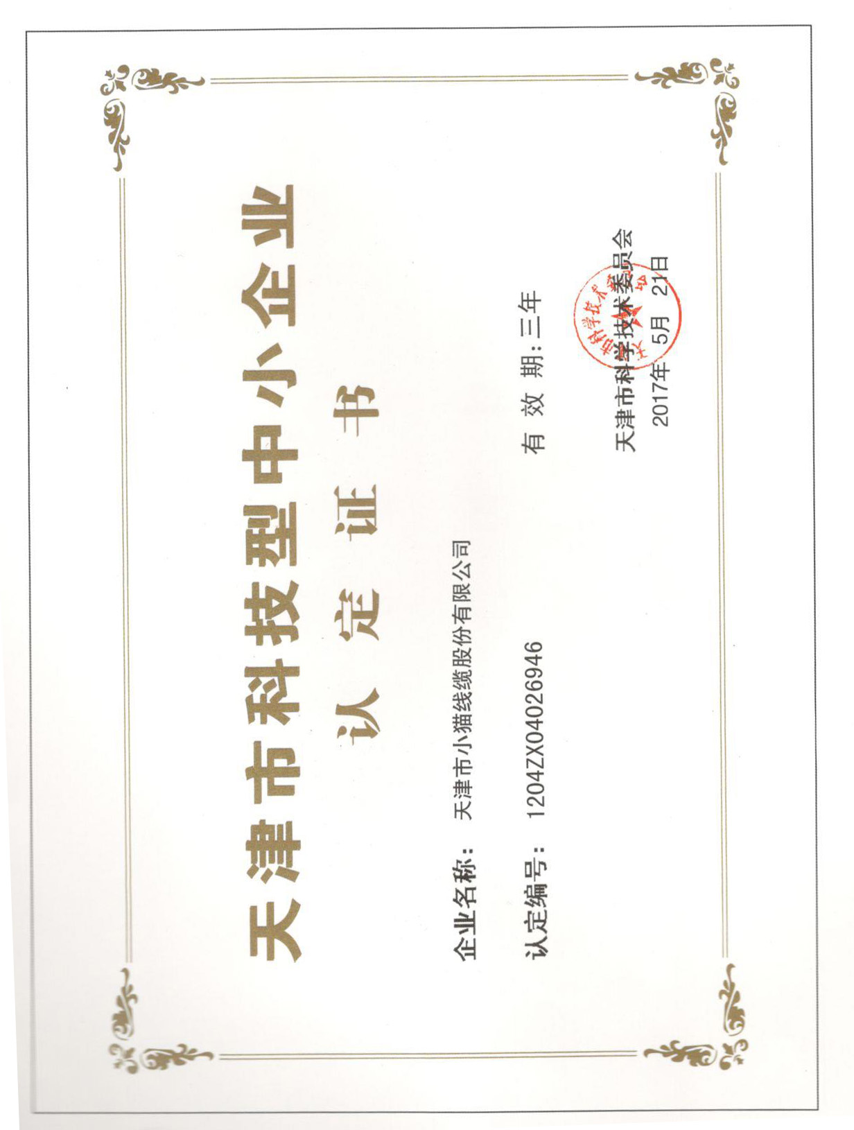 天津市科技型中小企業(yè)認(rèn)定證書