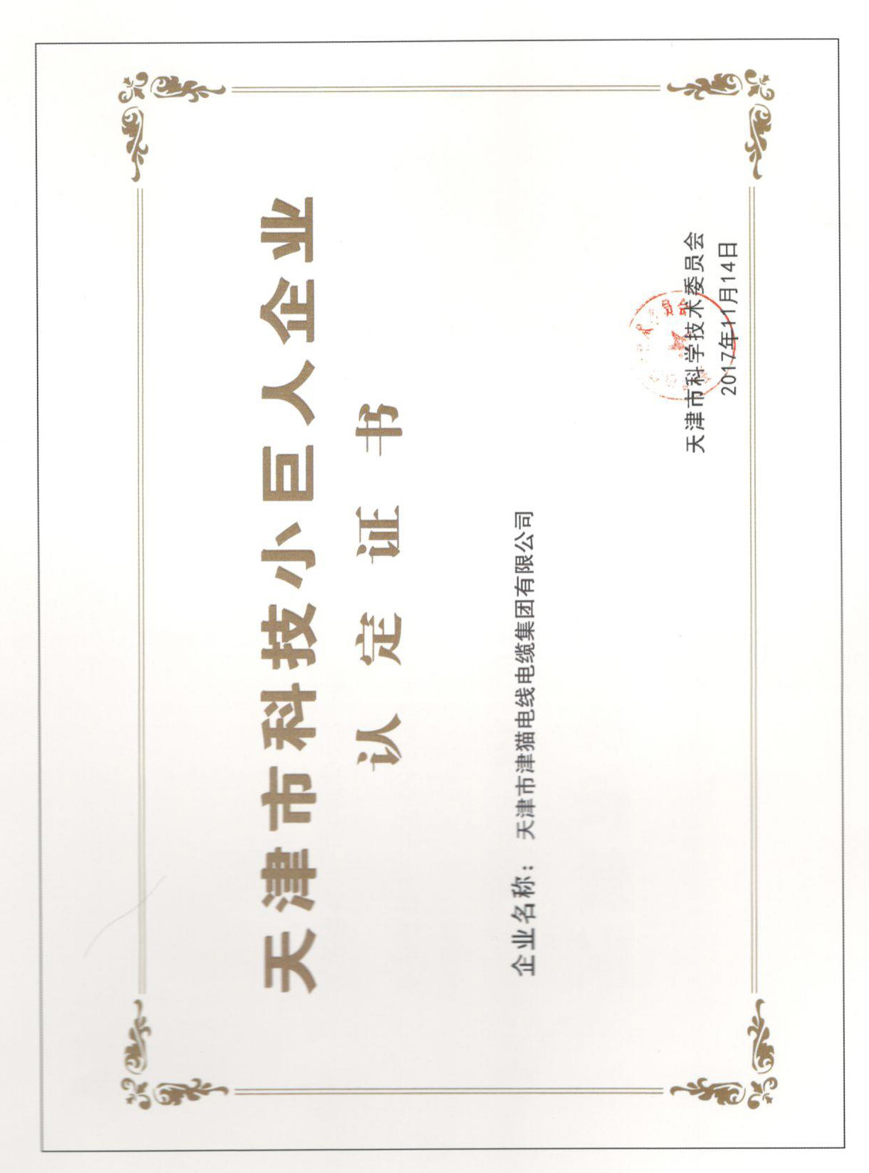 天津市科技小巨人企業(yè)認(rèn)定證書