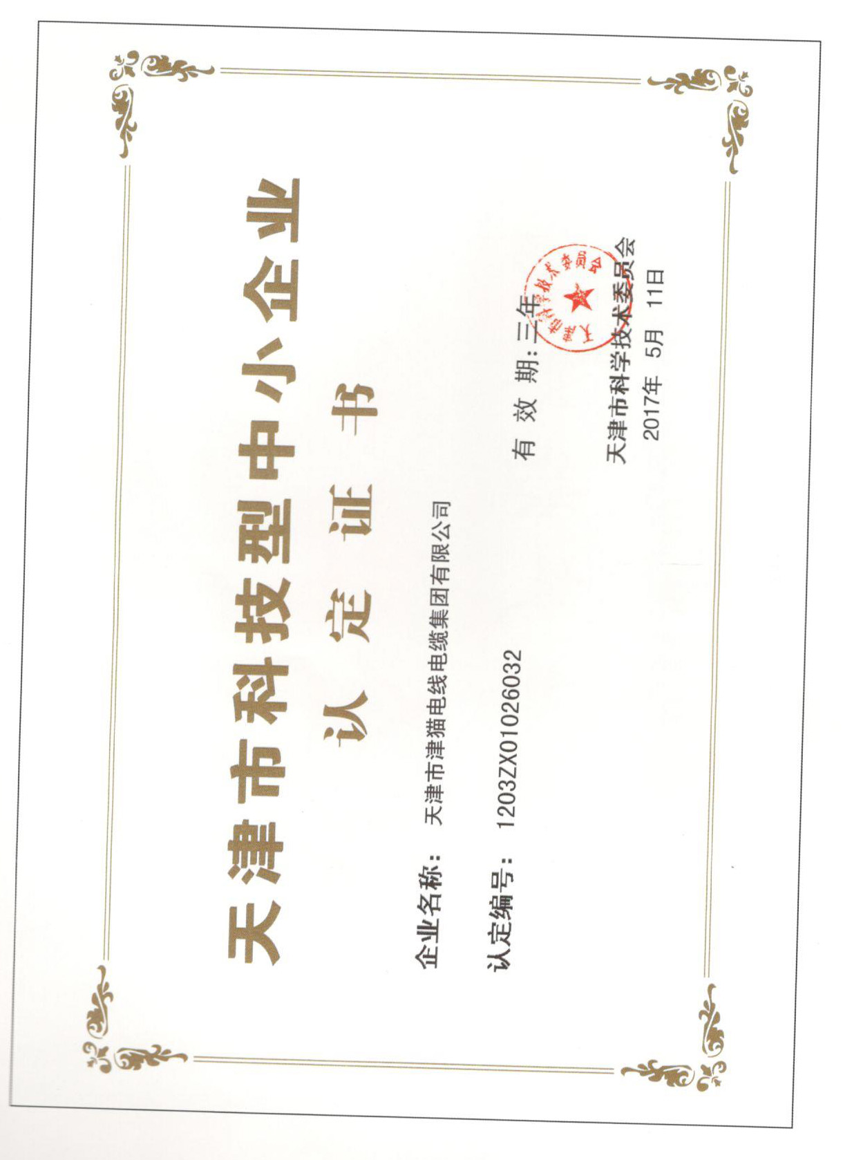 天津市科技型中小企業(yè)認(rèn)定證書
